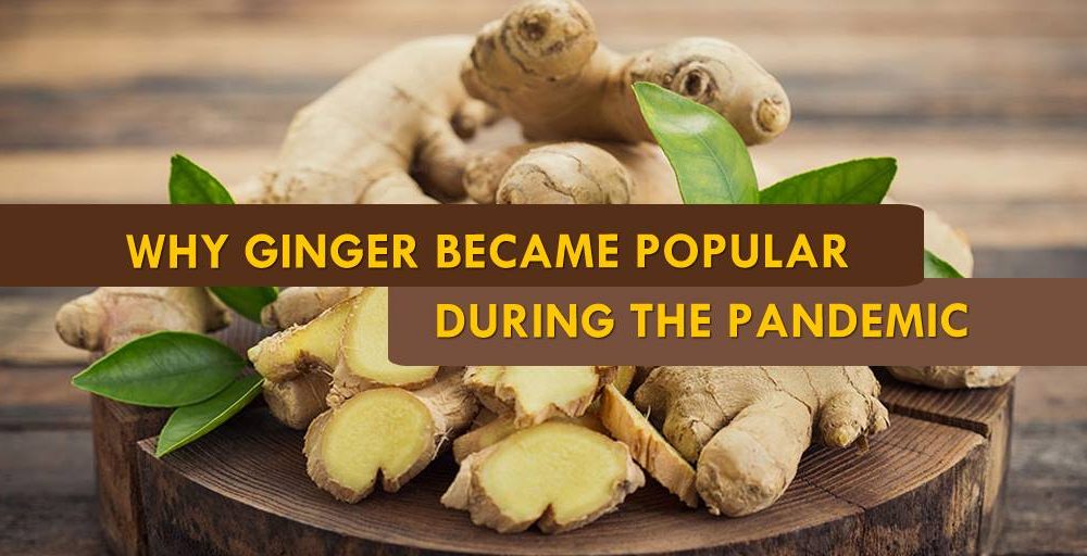 1000px x 512px - Why Ginger Became Popular During the Pandemic â€“ PanahonTV