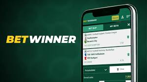 Comprehensive Guide to BetWinner Withdrawal Options 2057062392