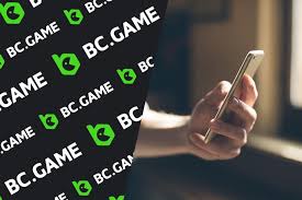 Comprehensive Guide to BC.Game Payment Options for Indonesian Players -974802544