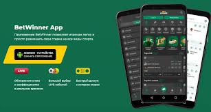 BetWinner Casino and Sportsbook A Comprehensive Review